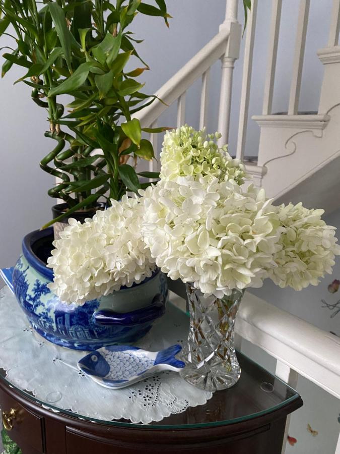 Northey Street House Bed and Breakfast Salem Eksteriør billede